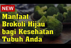 Ini Dia Manfaat Brokoli Hijau untuk Kesehatan 