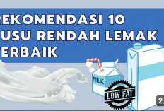 Inilah 8 Susu yang Rendah Lemak Bebas Kolesterol untuk Lansia 