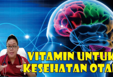 Ini Dia Vitamin untuk Otak yang Baik untuk Dikonsumsi Sedari Kecil