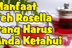 Berbagai Manfaat Teh Rosella untuk Kesehatan, Dapat Mengurangi Tekanan Darah