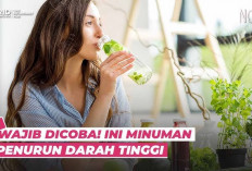 Ini Dia Minuman Penurun Darah Tinggi