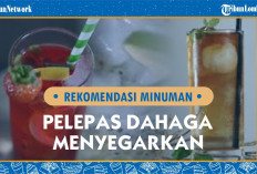 Minuman Pelepas Dahaga yang Menyegarkan dan Kuat yang Membantu Menghilangkan Panas