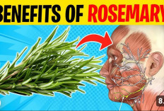 Ini dia 5 Manfaat Rosemary untuk Kecantikan Kulit Wajah, Dijamin Deh Jerawat Auoto Hilang
