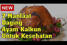 Manfaat Daging Kalkun untuk Kesehatan dan Komposisinya