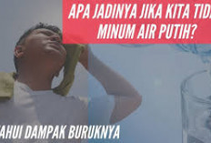 Bahaya Kurang Minum Air yang Wajib Kamu Ketahui