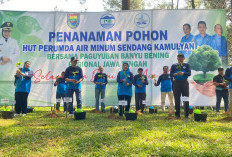 HUT ke-31, Perumda Air Minum Sendang Kamulyan Tanam Ribuan Bibit Pohon untuk Lestarikan Lingkungan