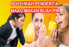 Inilah Manfaat Buah Pir untuk Asam Lambung dan Tips Mengolahnya