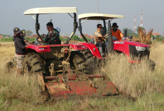 Lahan Tidur Terdampak Rob di Krapyak Dibuka Kembali