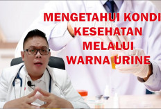 Mengenal Jenis Warna Urine untuk Mengetahui Kesehatan Tubuh, Hati-hati Jika Warnanya Merah Muda