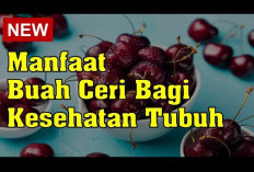 Inilah Manfaat Buah Ceri untuk Kesehatan, Meski Ukurannya Kecil