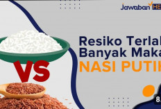 5 Efek Samping Makan Nasi Terlalu Banyak, Bisa Bikin Diabetes dan Berat Badan Naik