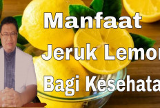 Ini Dia Manfaat Lemon untuk Kesehatan yang Patut Diketahui, Dapat Menjaga Kesehatan Jantung
