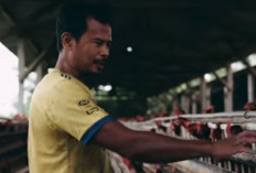 Kisah Pilu di Balik Suksesnya Bisnis Ayam Petelur, Merantau 14 Tahun Uangnya Habis Buat Berobat