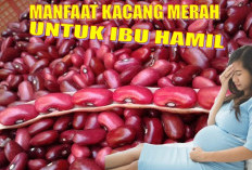 Inilah Berbagai Khasiat Kacang Merah yang Bermanfaat Bagi Ibu Hamil