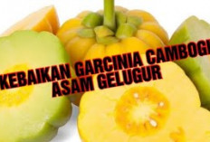 Manfaat Garcinia Cambogia untuk Kesehatan