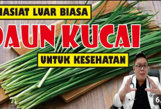 Manfaat Kucai untuk Kesehatan Tubuh yang Jarang Orang Tahu