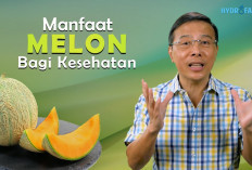 Ini Manfaat Kesehatan dari Satu Potong Buah Melon yang Harus Kamu Ketahui, Berikut Daftarnya