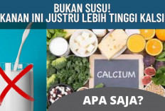 Ini Dia Makanan yang Mengandung Kalsium yang Mudah Didapat, Ada Ikan Sarden dan Ikan Salmon