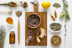 6 Jenis Obat Herbal untuk Kanker Usus Besar yang Terbukti Manjur: Solusi Alami untuk Kesehatan Usus