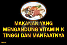 Ini Dia Jenis Makanan yang Mengandung Vitamin K