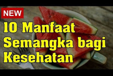 Inilah Manfaat Semangka untuk Kesehatan, Dapat Mencegah Sembelit dan Melawan Dehidrasi