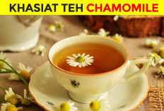 Manfaat Teh Chamomile untuk Kesehatan Tubuh dan Dapat Menenangkan Pikiran