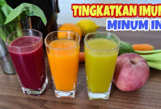 Ini Dia Aneka Minuman Jus untuk Meningkatkan Kekebalan Tubuh