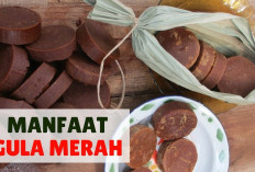 Manfaat Gula Merah untuk Kesehatan