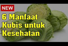 Inilah Daftar Khasiat Kubis yang Bermanfaat untuk Kesehatan Tubuh