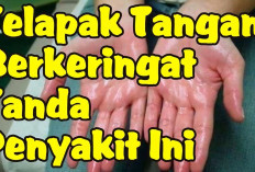 5 Penyebab Telapak Tangan Berkeringat, dan Cara Mengatasinya