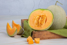 Manfaat Ajaib Buah Melon untuk Kesehatan Tubuh, Ternyata Bagus untuk Mencegah Segala Macam Penyakit