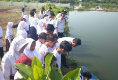 Optimalkan Potensi Lingkungan, SMP Negeri 9 Isi MPLS dengan Tebar 5000 Ekor Benih Ikan