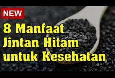 Ini Dia Ragam Manfaat Minyak Jintan Hitam untuk Kesehatan, Dapat Mempercepat Penyembuhan Luka