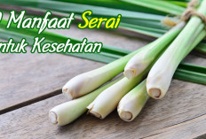 Inilah 6 Manfaat Daun Serai untuk Kesehatan Tubuh, Apa Saja?