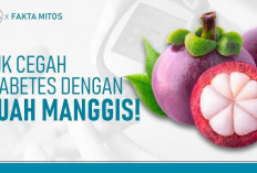 Buah yang Bisa Cegah Diabetes, Yuk Simak Apa Saja Jenisnya?