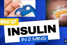 5 Fungsi Insulin di dalam Tubuh dan Cara Kerjanya yang Ternyata Bisa Mengatur Gula Darah
