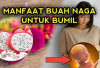 Inilah Manfaat Buah Naga untuk Ibu Hamil yang Patut untuk Diketahui