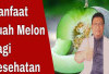 Inilah Khasiat Baik dari Satu Potong Buah Melon Untuk Kesehatan, Mau Tahu?