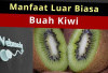 Inilah Daftar Manfaat Kiwi untuk Kesehatan Bayi