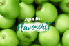 Manfaat Flavonoid untuk Kesehatan