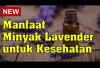 Manfaat Minyak Lavender untuk Kesehatan, Dapat Membuat Tidur Lebih Nyenyak