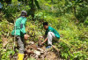 Kolaborasi Jaga Kelestarian Lingkungan, Pemuda Ansor Gandeng Masyarakat hingga Pemdes Tanam Pohon Bersama